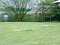 20100601 008